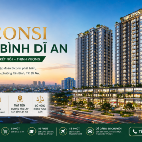 Khu dân cư – Dịch vụ Tân Bình là khu đô thị đã hình thành tại khu vực Dĩ An cũ.